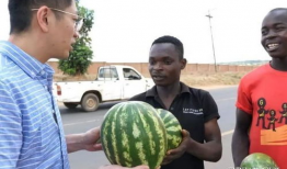 网红吃瓜黑科爆料,揭秘娱乐圈背后的惊人真相