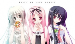 缘分的天空动漫,缘分的天空动漫之旅