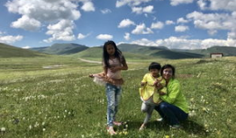 青草原在线视频,探寻自然之美与生态和谐